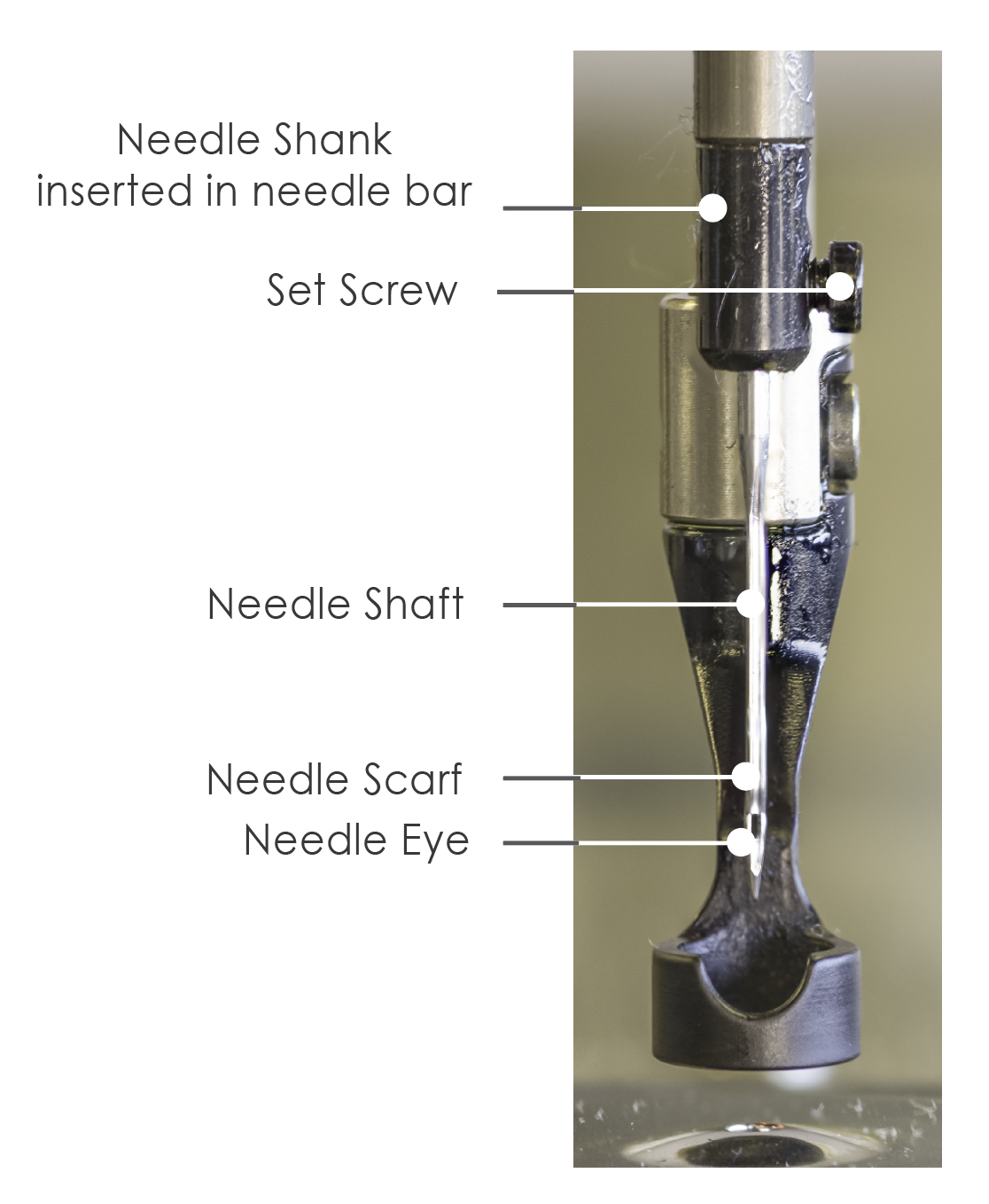 Needles and Needle Bar
